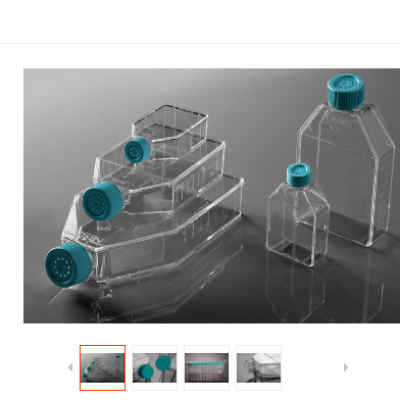 T25细胞培养瓶，密封盖，未TC