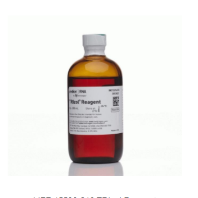 15596-018 TRIZOL REAGENT  RNA提取试剂