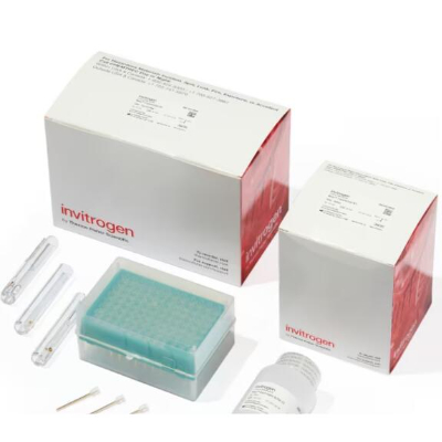 NEON 100 UL TRANSFECTION KITTRANSFECTION KIT