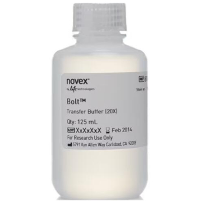 BOLT TRANSFER BUFFER (20X)125 ML