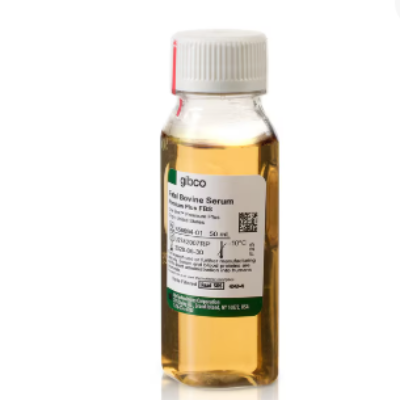 Fetal Bovine Serum, Premium Plus