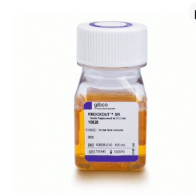 KnockOut™ 血清替代物