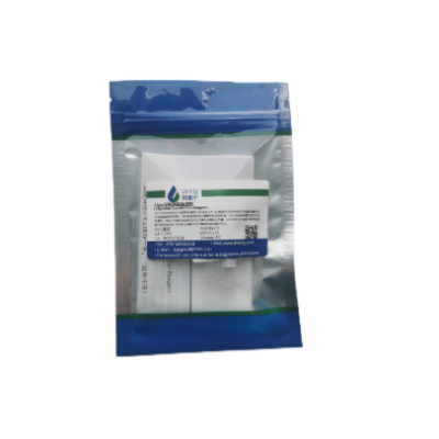Lipo3000转染试剂 0.5ml